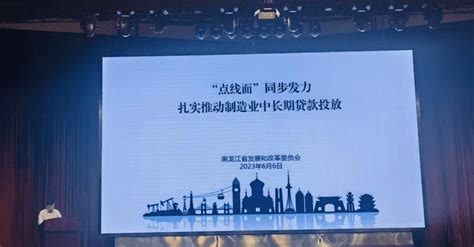 黑龙江省发展和改革委员会在全国扩大制造业中长期贷款投放现场会上作典型发言_工作_项目_会议