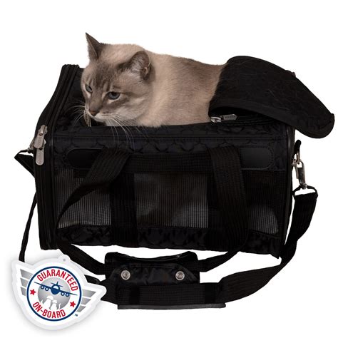 Airline Approved Dog Carrier Petsmart