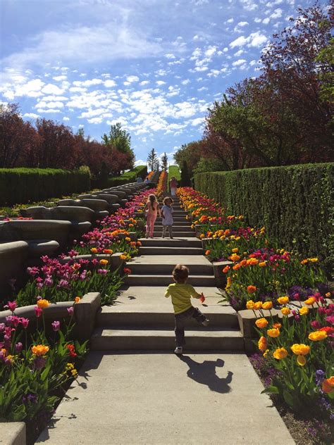 All Things Belle: Tulip Festival - Thanksgiving Point
