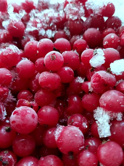 Frozen Berries In Spanish at Veronica Hiatt blog