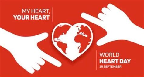 World Heart Day: Take care of your heart, prevent cardiovascular ...