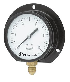 Pressure, Gauges Products - PI Controls