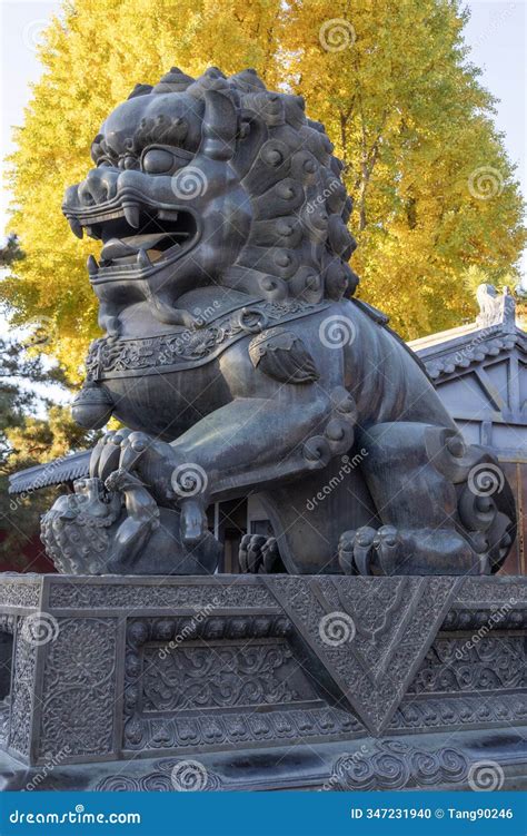 Giant Stone Lion at the Entrance of Summer Palace in Beijing, China ...