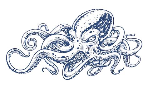 Octopus vintage engraving style vector illustration of octopus ...