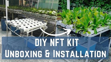 Build a NFT Hydroponic System Using 50Mm PVC 的图像结果