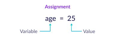 Image result for Sample Python Conditional Statements