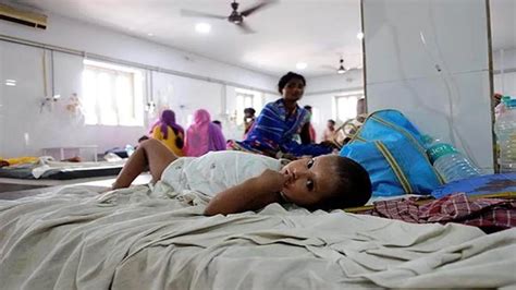 Japanese Encephalitis become lethal in Assam death toll rises latest ...