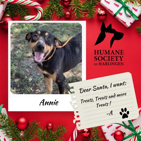 Humane Society of Harlingen (@hshtxorg) / Twitter