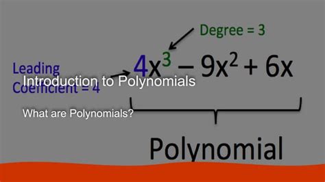 Math Polynomials Basics 的图像结果