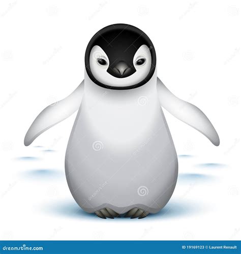 Little Baby Emperor Penguin Stock Vector - Illustration of baby, charming: 19169123