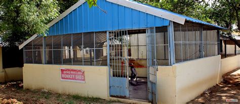 ::Adhiparasakthi Horticultural College::G.B.Nagar, Kalavai, Vellore ...