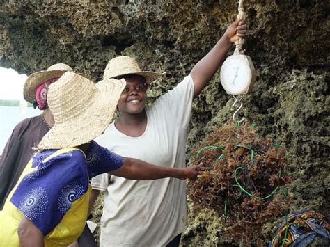 Women in aquaculture - GAF
