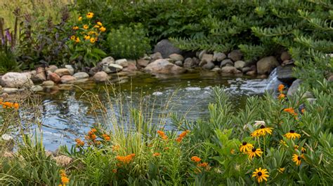 Landscape Design 的图像结果