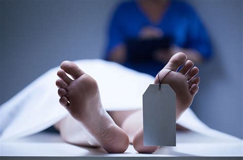 Posthumous Body Donation: Serve Life Even in Death | Daily Bees