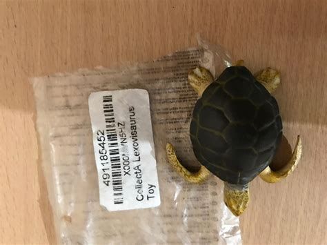 Buy CollectA Lexovisaurus Toy Online at Low Prices in India - Amazon.in