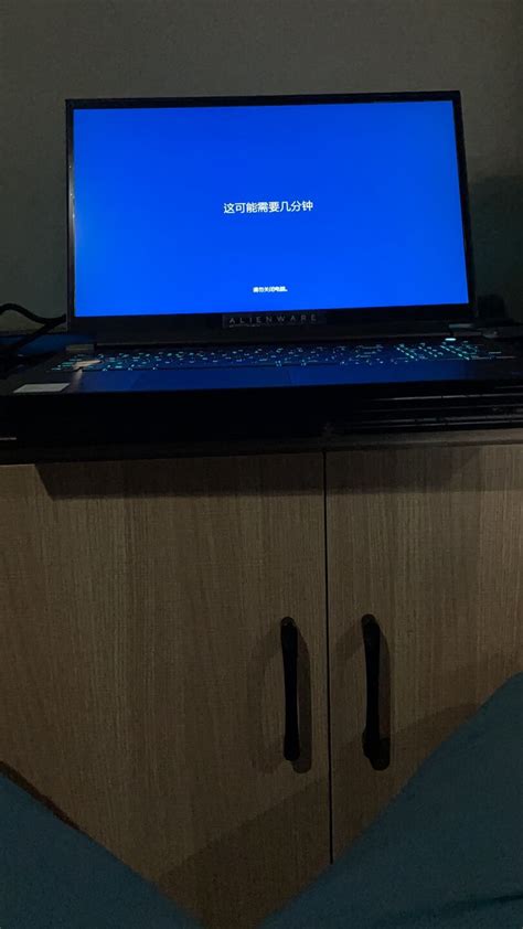 Alienware M4 R17 的图像结果