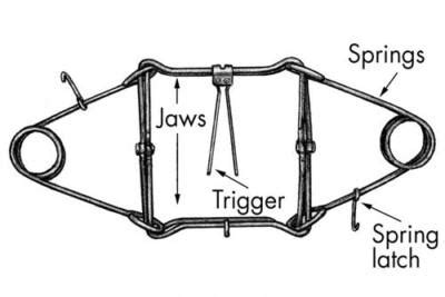 Body Grip Trap Modifications 的图像结果