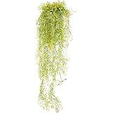 Buy Hug Me Artificial Hanging Plant for Home Online at Low Prices in ...