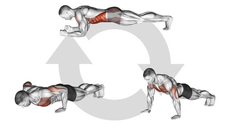 Rezultat imagine pentru Exercice Musculation Commando