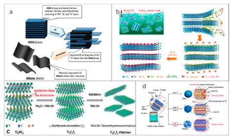 Recent Advance in the Fabrication of 2D and 3D Metal Carbides-Based ...