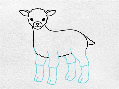 How to Draw a Lamb - HelloArtsy
