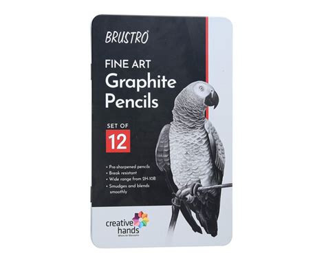 Graphite Elegance: Brustro Graphite Pencils for Artistic Precision/ buy ...