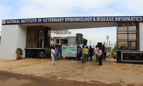 ICAR-NIVEDI | National Institute of Veterinary Epidemiology and Disease ...