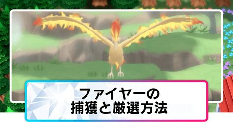 Image result for AC User Guide Example