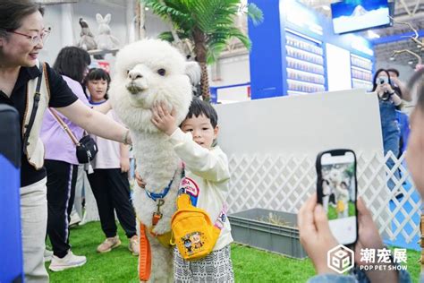 广州宠博会|2023广州宠物展览会|宠物展 - 知乎