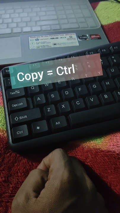 Image result for Computer Copy/Paste Shortcut