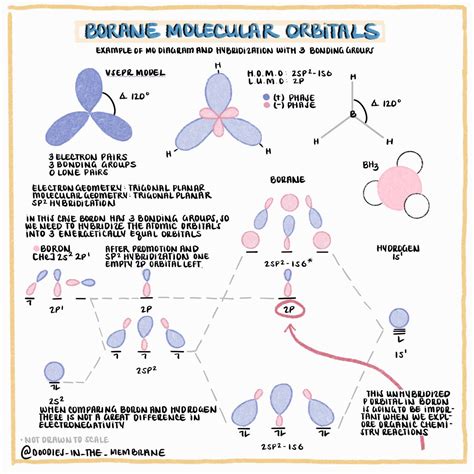 Organic Chemistry Educational Resource: Molecular Orbital Diagram of ...