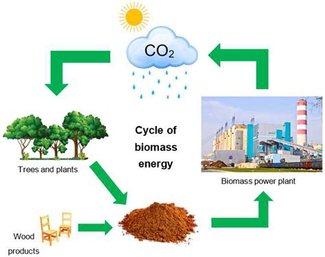 Biomass Examples: Renewable Energy Solutions