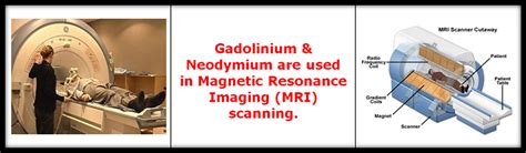 Green Age - Free Website Template