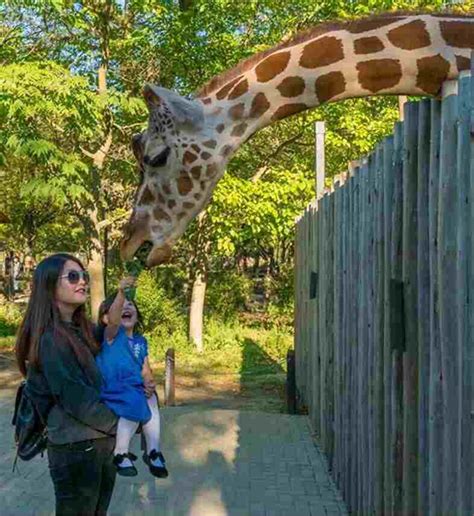 The Zoo Wildlife Park - At Umm al-Quwain