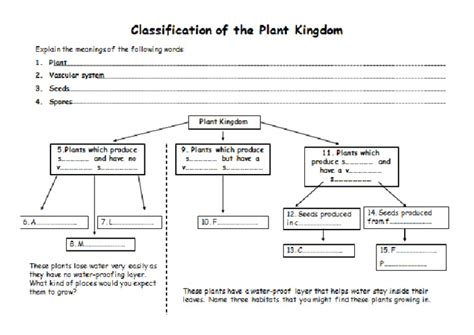 Lesson 1 - Plant Classification Worksheet | PDF | Plants - Worksheets Library