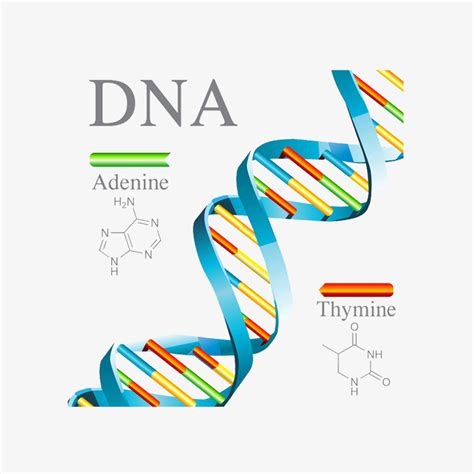 How home DNA tests work | TechRadar