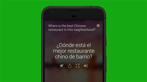 Image result for Android Translation