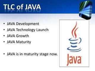 Image result for Program Developemnt Life Cycle Java