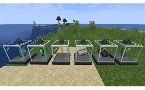 Image result for Minecraft Display Case Mod