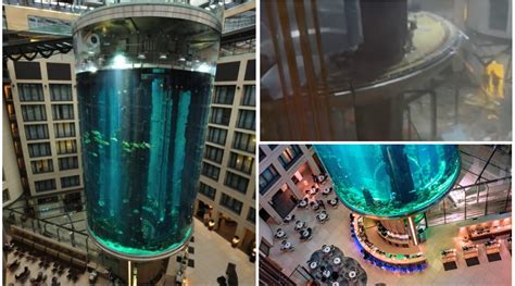 Image result for Exploding Aquariums