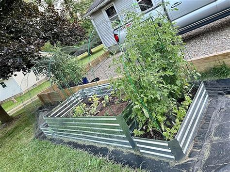 Jobe's Tomato Fertilizer Spikes 6-18-6 Time Release Fertilizer, 18 ...