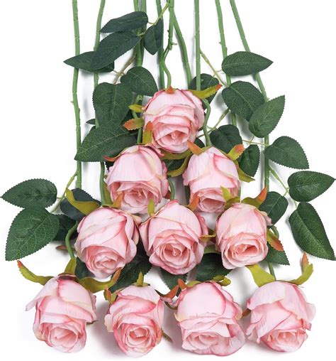 DuHouse 10pcs Artificial Silk Roses Flowers Single Long Stem Fake Rose ...