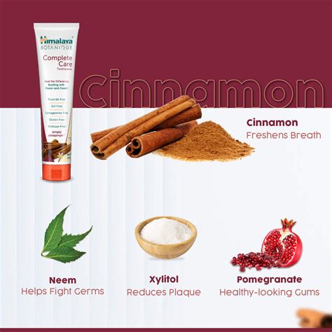 Buy Himalaya BOTANIQUE Complete Care Toothpaste (Simply Cinnamon) 150g ...