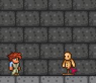 Image result for Code Breaker Terraria