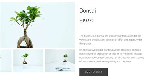 CSS Galleries - Product Gallery example : CSS Mix