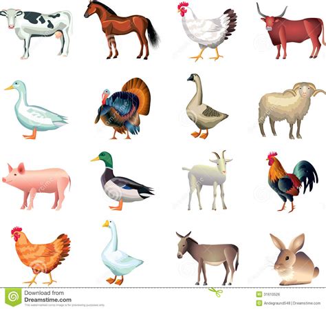 Farm animals clipart 20 free Cliparts | Download images on Clipground 2024
