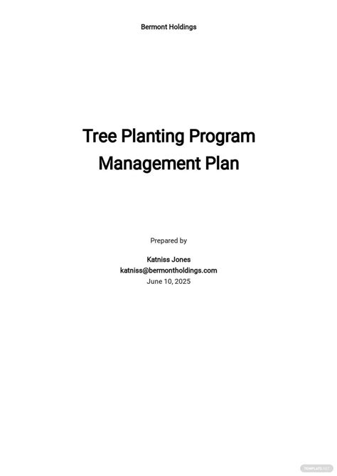 Image result for Program Plan