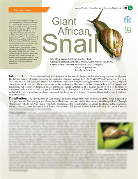 SOLUTION: Giant african snail fact sheet - Studypool