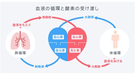 Image result for Task Order Workflow Development
